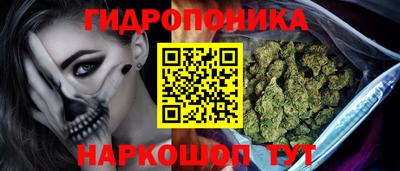 ПСИЛОЦИБИНОВЫЕ ГРИБЫ Коммунар