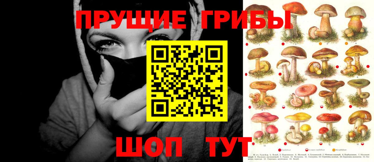 Псилоцибиновые грибы мицелий Кирово-Чепецк